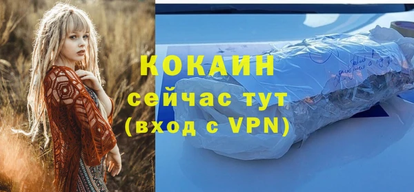 стафф Коряжма
