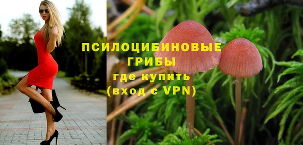 стафф Коряжма