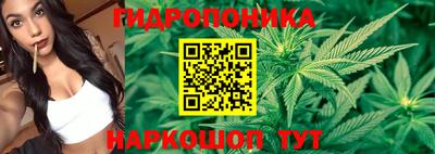 винт Гатчина