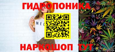 винт Гатчина