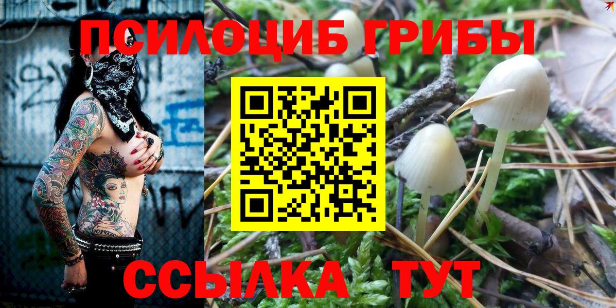 Псилоцибиновые грибы мухоморы  Псилоцибиновые грибы мухоморы  Красноуфимск  Вход с VPN 