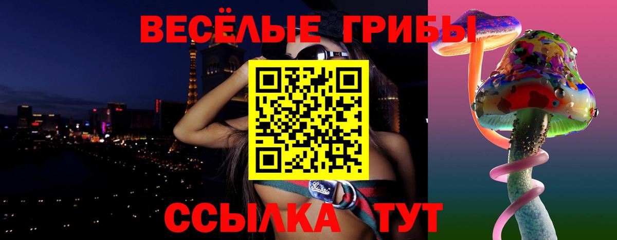 Псилоцибиновые грибы Psilocybine cubensis Красноуфимск